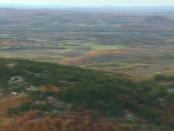 MS AERIAL View of Wooded area with autumn colors in State Park / Maine, United States Stock Footage
