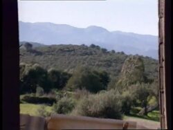 Algeria - Aftermath of massacre on village News Clip