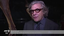 VOICED : Colosal dinosaurio patagonico en Nueva York News Clip