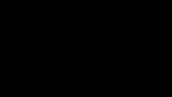 CLEAN : Protesters in Sao Paulo slam Lula's appointment to government News Clip