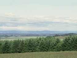 WS PAN SLO MO Shot of sunny countryside with farms, tree line and distant hills / Cornelius, Oregon, United States  Stock Footage