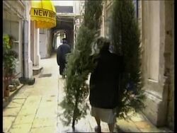 Patriarch prays for peace as Catholics collect Christmas trees. Instructional Video