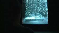 CLEAN : Bill Viola retrospective opens in Paris News Clip