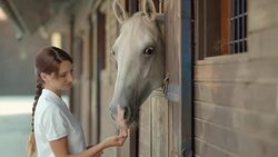 SLO MO DS Caretaker caressing horse looking out of stable Stock Footage