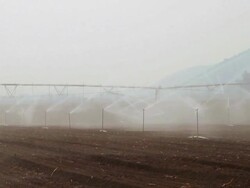 Sprinklers in action in agricultural field Stock Footage