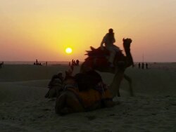 WS Tar dessert at Sun setting with camel rider / Sam Sand Dunes, Rajasthan, India Stock Footage