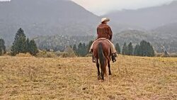 SLO MO Cowboy riding his horse on a mountain Stock Footage