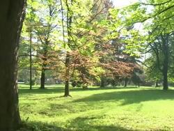HD: A park in spring Stock Footage