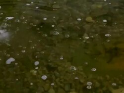 Water Stock Footage