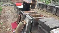 Beekeeper getting honey from the bee box Stock Footage