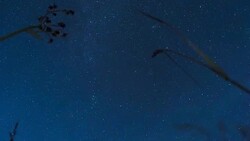 Milky Way and stars - night time lapse Stock Footage