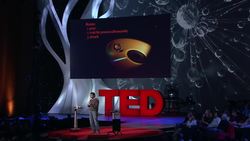 Fiorenzo Omenetto: Silk, the ancient material of the future Instructional Video