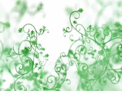 Ornate Branches NTSC Stock Footage