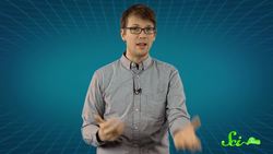 Microscope: The Tube That Changed the World Instructional Video