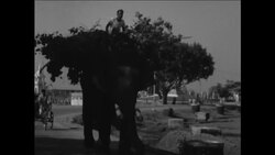 CAN729 JAPANESE MONKS PERFORM BUDDHIST CEREMONY IN INDIA News Clip