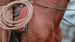 SLO MO TU Rancher sitting on horse and stroking its neck Stock Footage