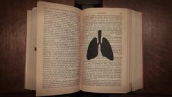 TED-ED: Mysteries of vernacular: Bewilder - Jessica Oreck and Rachael Teel Instructional Video