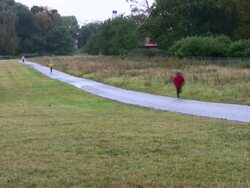 Runners Stock Footage