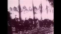 Marking the centenary of the end of WW1 +REPLAY+  Instructional Video