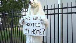 Hofstra University Protest, Presidential Debate 2016, Stock Footage