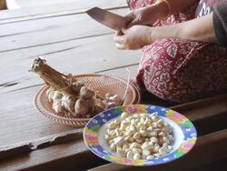 Peeling garlic Stock Footage