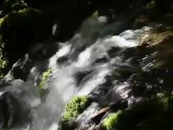 Water views in the park, Plitvice Lakes National Stock Footage