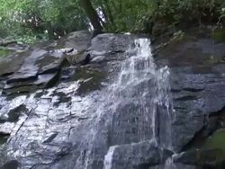 Lil waterfall 160  60i Stock Footage