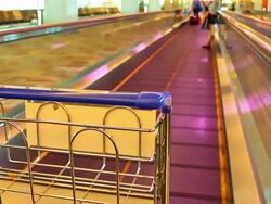 Trolley at the Airport Stock Footage