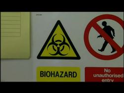 Swine Flu virus lab  News Clip