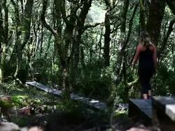 Tasmanian Tourism Stock Footage