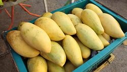 mango in market for sale in thailand Stock Footage