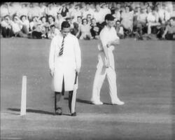 CRICKET - COMPTON AS UMPIRE News Clip