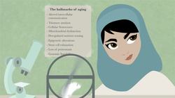TED-Ed: Why do our bodies age? - Monica Menesini Instructional Video