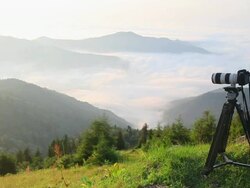 HD: Taking Nature Photos Stock Footage