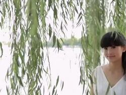 MS Young woman smiling at camera with willow trees in background / Beijing, China Stock Footage