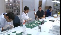 The 3D-Printed Pot-Puffer That Wont Get You High News Clip