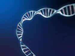 DNA animation NTSC Stock Footage