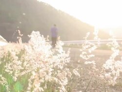 man running in the morning Stock Footage