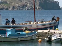 MS ZO Herd of scheep in boat / Myconos, Cylades Islands, Greece Stock Footage