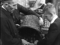 During the Winter of Starvation the people wait in line at shops and farms for food. People gather dead wood  Stock Footage