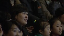 Dolphins performing tricks in a dolphinarium News Clip