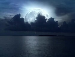 Mysterious full moon. Stock Footage
