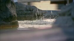 Water drips down the fountain in the Piazza della Rotunda in Rome. Stock Footage