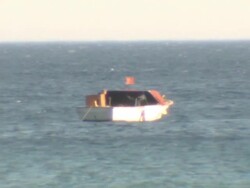 Sea life Stock Footage