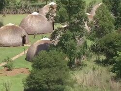 MS AERIAL ZO View of six straw huts / Nelspruit, Mpumalanga, South Africa Stock Footage
