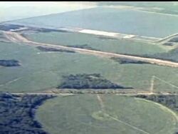 Scientists using federal grants spread fertilizer made from human and industrial wastes on yards in poor, black neighborhoods to test whether it might protect children from lead poisoning in the soil. Instructional Video