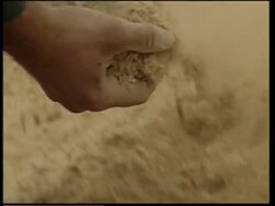 Processing plant making bio fuel from waste wood chips News Clip