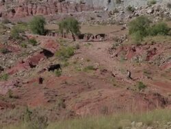 Torotoro Hills & Lands Stock Footage