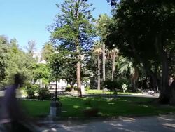 Giardino Garibaldi, views of the gardens of Garibaldi, Palermo, Sicily.  Stock Footage
