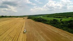 Aerial Shot Combine harvesting a field of wheat Stock Footage